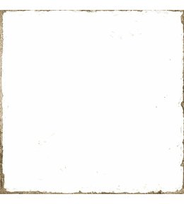 FORLI obklad Blanco 20x20 (1m2) FOL001
