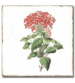 FORLI obklad Flowers Decor Mix 15x15