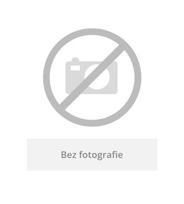 ANTEA podomítkový přepínač, páčka, chrom/zlato