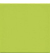UNICOLOR 15 Pistacho brillo 15x15 (1bal=1m2)
