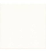 UNICOLOR 20 Blanco brillo 20x20 (1bal=1m2)