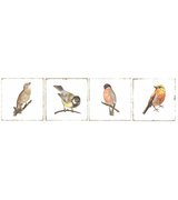 FORLI Birds Decor Mix 20X20