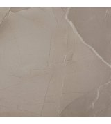 PASSION LUX 60 Taupe 60x60 (bal=1,08m2)