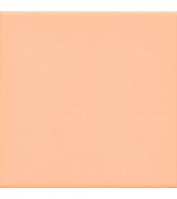 UNICOLOR Salmon 15x15 (bal=1m2)